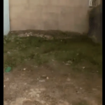 %titre du post%%titre du site%