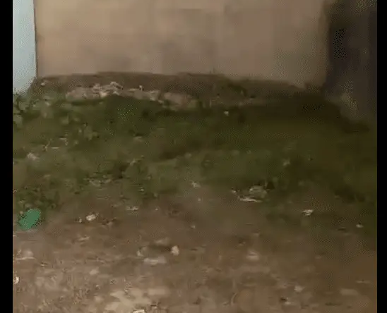 %titre du post%%titre du site%