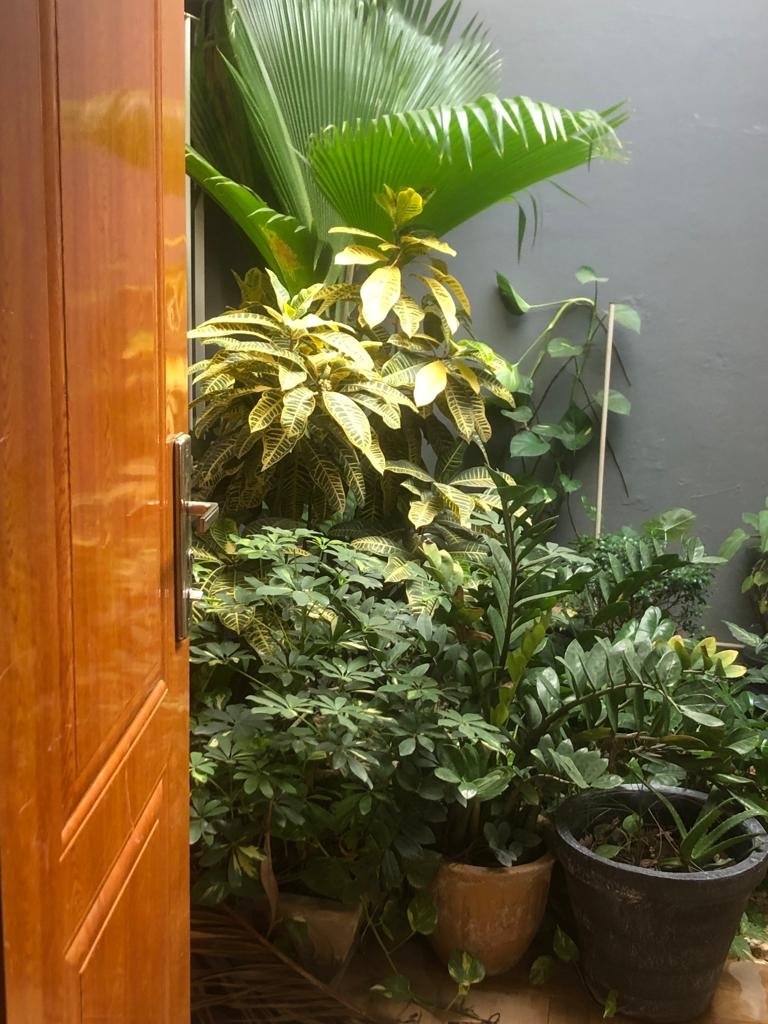 %titre du post%%titre du site%